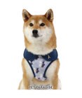 PET PARADISE リサとガスパール ベストハーネス  であい柄 ＳＭ 中型犬