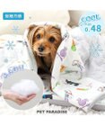 PET PARADISE リサとガスパール もちっと クール ブランケット