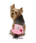 PET PARADISE 犬の服 犬 ディズニー ミニーマウス サニタリーパンツ 【小型犬】 フリル