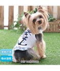 PET PARADISE ペットパラダイス マリン柄 タンクトップ 【小型犬】