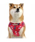 PET PARADISE リサとガスパール ベストハーネス 《パリ柄》 SM 中型犬