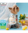 PET PARADISE リサとガスパール エコメイド シトラス タンクトップ 小型犬
