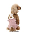 PET PARADISE 花柄 フリル マナーオール 【小型犬】 ピンク