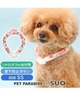 PET PARADISE ペットパラダイス 28℃クールリング SUO 《いちご柄》 〔SS〕 小型犬