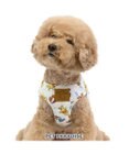 PET PARADISE ディズニー くまのプーさん ベストハーネス 《ウェーブ柄》 SSサイズ  小型犬