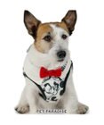 PET PARADISE ディズニー ミッキーマウス＆プルート ベストハーネス 《モノクロ》 ＳＳ