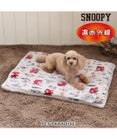 PET PARADISE スヌーピー  うたたね柄 角型マット 小型犬 80×60cm
