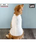PET PARADISE Lee ジップボア ベスト ホワイト 中型犬 大型犬