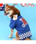 PET PARADISE 犬の服 夏 犬服 ひょっとこ面 お祭り 法被 【中型犬】 【大型犬】