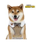 PET PARADISE ミニオン ベストハーネス 【ＳＭ】 ティム