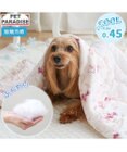 PET PARADISE ディズニー ミニーマウス もちっと クール ブランケット 《ハート柄》