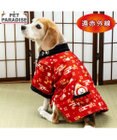 PET PARADISE ペットパラダイス 半纏《千鳥柄》 中型犬 大型犬