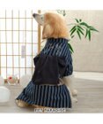 PET PARADISE ペットパラダイス  浴衣 《日本画風 犬刺繍》 中型犬 大型犬