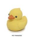 ペットパラダイス あひる ラテックス トイ