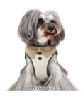PET PARADISE ペットパラダイス ベストハーネス 《ステッチ》 ＳＳ 小型犬