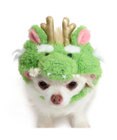 PET PARADISE ペットパラダイス 干支帽子 辰 《グリーン》 小型犬