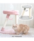 PET PARADISE 猫 キャットタワー 55cm スリム