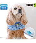 PET PARADISE スヌーピー クール スヌード《バケーション柄》 中型犬 大型犬