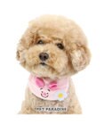 PET PARADISE ディズニー くまのプーさん 《ピグレット にこにこ》 首輪 ＳＳ  小型犬