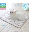 PET PARADISE ペットパラダイス   クール マット《くまちゃん 水玉》48×40㎝