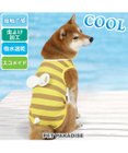 PET PARADISE 犬の服 春夏 ひんやり クール 接触冷感 虫除け はちタンクトップ 【中型犬】【大型犬】