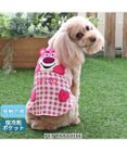 PET PARADISE ディズニー トイ・ストーリー ロッツォ ひんやり  タンクトップ 【小型犬】