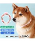 PET PARADISE ペットパラダイス 28℃クールリング SUO 《いちご柄》 〔ＳＭ〕 中型犬