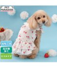 PET PARADISE ペットパラダイス 接触冷感 ワンピース 《苺柄》 小型犬