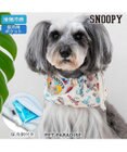 PET PARADISE スヌーピー クール スヌード 《アイス柄》 小型犬