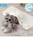 PET PARADISE ペットパラダイス クールケット 《くまちゃん》 小型犬