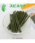 PET PARADISE デンタルガム スピルリナ 100g 国産
