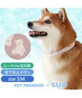 PET PARADISE ペットパラダイス 28℃クールリング  《くま》 ＳＭ 中型犬