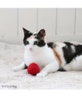 PET PARADISE ペットパラダイス 猫 羊毛 ボール 【単品】