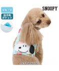 PET PARADISE スヌーピー クールベスト 《果物柄》 小型犬