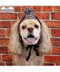 PET PARADISE ペットパラダイス ボンボン付き 男の子 ニット 帽子 中型犬 ＳＭ～Ｍ
