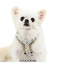 PET PARADISE ペットパラダイス くまちゃん アクティブハーネス 小型犬 S
