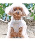 PET PARADISE 犬 ハーネス メッシュ ベスト ハーネス 【SS】 小花柄/マリン