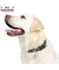PET PARADISE ペットパラダイス チェック柄 首輪 Ｍ 大型犬
