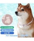 PET PARADISE ペットパラダイス 28℃クールリング  《くま》 M 大型犬