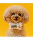 PET PARADISE ディズニー プルート 95周年 首輪 ＳＳ 小型犬