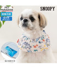 PET PARADISE スヌーピー クールネック 《サマーバケーション柄》 小型犬