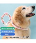 PET PARADISE ペットパラダイス 28℃クールリング SUO 《いちご柄》 〔Ｌ〕 大型犬