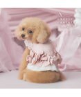 PET PARADISE cherircouture ヘムリボンツイードベスト 《ピンク》 小型犬