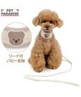 PET PARADISE ペットパラダイス リード付き首輪 《くまちゃん》 小型犬