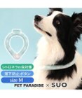 PET PARADISE ペットパラダイス 28℃クールリング SUO 《くま柄》 〔M〕 中型犬