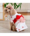 PET PARADISE ペットパラダイス 浴衣 《遊泳金魚》 小型犬