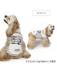 PET PARADISE スヌーピー お揃い 野球柄Ｔシャツ 【中型犬】【大型犬】《ネイビー／ホワイト》