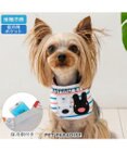 PET PARADISE リサとガスパール クールバンダナ 《ボーダー》 小型犬