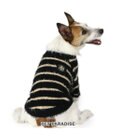 PET PARADISE J.PRESS シャギー風ニット 小型犬