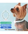 PET PARADISE ペットパラダイス 28℃クールリング SUO 《くま柄》 〔３Ｓ〕 小型犬